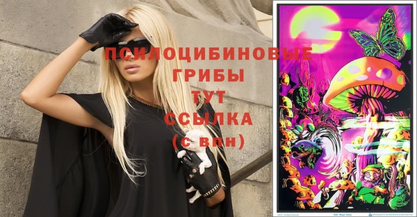 молекула духа Бугульма